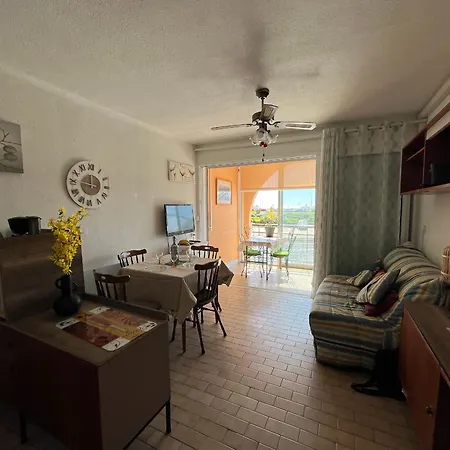 2p A Avec Parking Prive, Vue Sur Canal - Fr-1-338-614 Apartment Sete