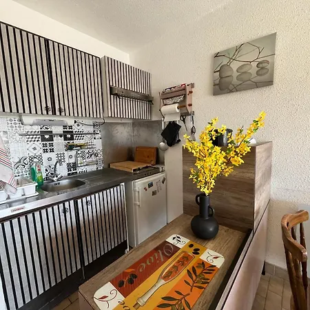 2p A Avec Parking Prive, Vue Sur Canal - Fr-1-338-614 *